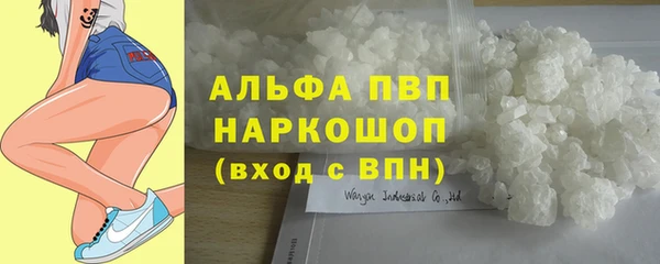 СК Алзамай