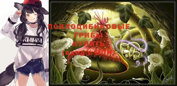 МДПВ Алексеевка